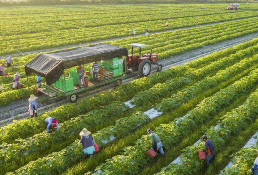 Agriculture and farming work